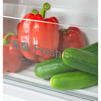 LEX LSB530GlGID - Холодильник двухкамерный отдельностоящий