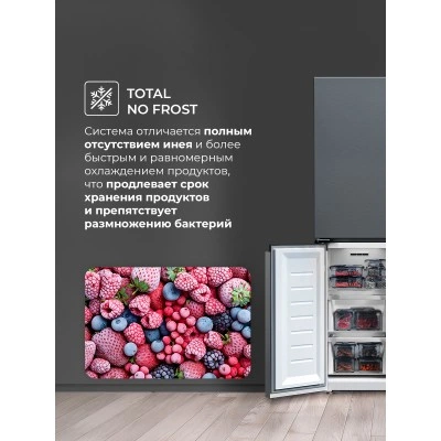 Холодильник LEX LCD450SsGID Холодильник LEX LCD450SsGID