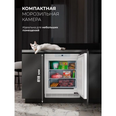 Встраиваемая морозильная камера LEX FBI 101 DF Встраиваемая морозильная камера LEX FBI 101 DF