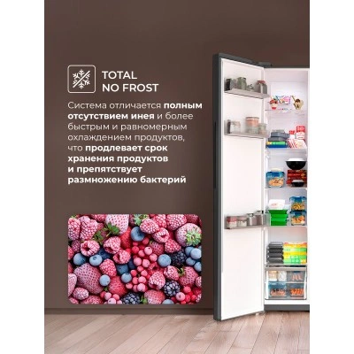 Холодильник LEX LSB530BlID Холодильник LEX LSB530BlID