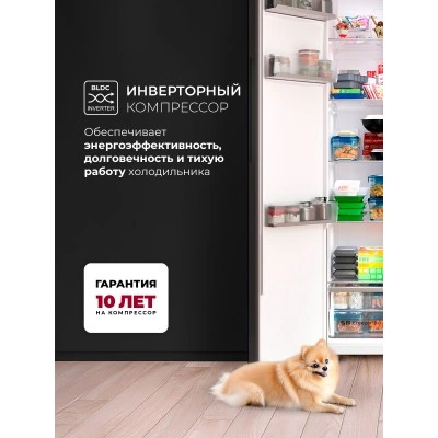 Холодильник LEX LSB530StGID Холодильник LEX LSB530StGID