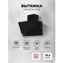 Наклонная вытяжка LEX Mera 600 Black