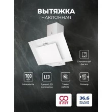 Наклонная вытяжка LEX Mira G 600 White